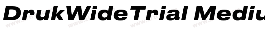 DrukWideTrial Medium字体转换